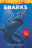 Sharks (Investigate Series)