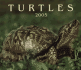 Turtles 2005
