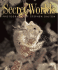 Secret Worlds