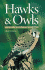 Hawks and Owls of the Great Lakes Region and Eastern North America