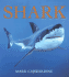 Shark Carwardine, Mark