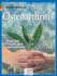 Osteoarthritis (Natural Health Guide) (Alive Natural Health Guides)