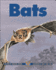Bats