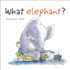 What Elephant?