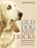 Old Dog, New Tricks: Understanding and Retraining Older and Rescued Dogs