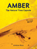 Amber: the Natural Time Capsule