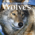 Exploring the World of Wolves (Exploring the World of (Paperback)(Firefly Books))