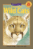 Looking at Wild Cats