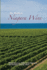 The World of Niagara Wine