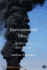 Environmental Ethics: an Interactive Introduction