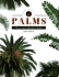 Palms: the New Compact Study Guide and Identifier