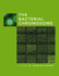 The Bacterial Chromosome (Hb)