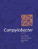Campylobacter, 3/Ed (Hb)