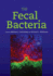 Fecal Bacteria