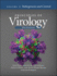 Principles of Virology, Volume 2: Pathogenesis and Control (Asm Books)