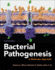 Bacterial Pathogenesis: a Molecular Approach (Asm Books)