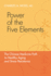 Power of the Five Elements: the Chinese Medicine Path to Healthy Aging and Stress Resistance