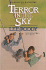 Terror in the Sky (an American Adventure #6)