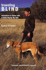 Traveling Blind: Adventures in Vision With a Guide Dog By My Side