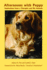 Afternoons With Puppy: Inspirations From a Therapist and His Animals