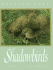 Shadowbirds