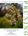 Pruning: a Practical Guide
