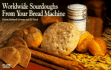 Worldwide Sourdoughs (Nitty Gritty Cookbooks)