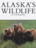 Alaskas Wildlife