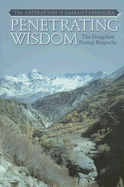 Penetrating Wisdom