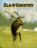 Elk Country (Wildlife Country)