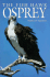The Fish Hawk: Osprey (Northword Wildlife Series)
