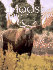 Wild Moose Country