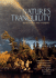 Nature's Tranquility: Reflections and Insights