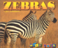 Zebras Format: Hardcover