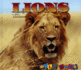 Lions (Wild Ones)