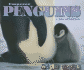 Emperor Penguins Format: Paperback