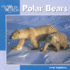Polar Bears Format: Hardcover
