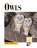 Endangered Animals and Habitats-Owls