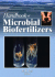 Handbook of Microbial Biofertilizers (Hb 2006)