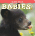 Black Bear Babies! (Babies! (Farcountry Press))