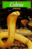 Cobras (Snakes)