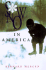 Snow in America