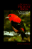 The Ecology of Migrant Birds: a Neotropical Perspective