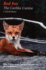 Red Fox: the Catlike Canine (Smithsonian Nature Books No 5)