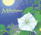 The Moonflower