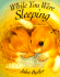 While You Were Sleeping