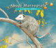 About Marsupials: a Guide for Children
