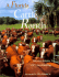 A Florida Cattle Ranch