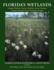 Florida's Wetlands (Florida's Natural Ecosystems and Native Species)