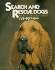 Search and Rescue Dogs (Good Dogs! )